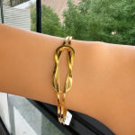 بنگل امگا